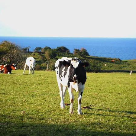 La Cristalina Dom wakacyjny Caravia